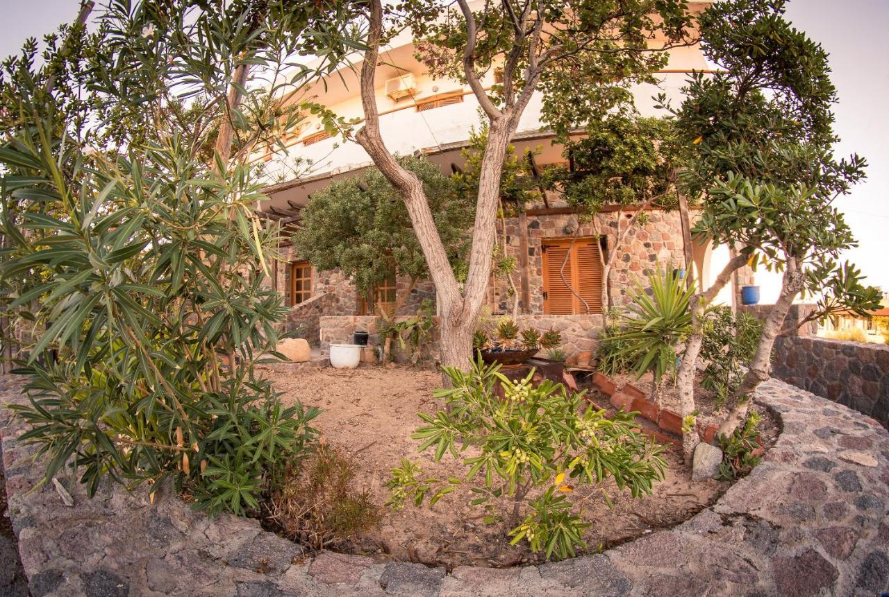 Vagia Beach Apartments, Aegina Island Oda fotoğraf