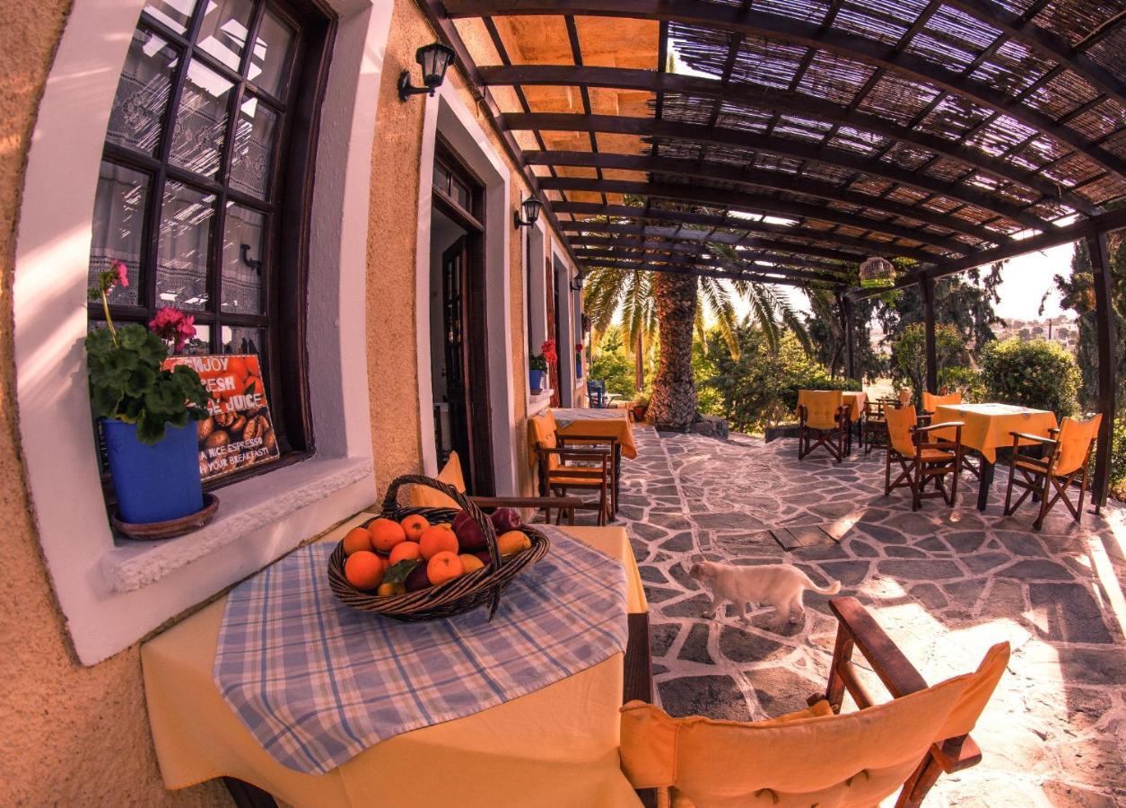 Vagia Beach Apartments, Aegina Island Oda fotoğraf